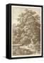 Sepia Oak Tree-Ernst Heyn-Framed Stretched Canvas