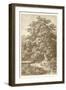 Sepia Oak Tree-Ernst Heyn-Framed Art Print