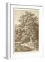 Sepia Oak Tree-Ernst Heyn-Framed Art Print