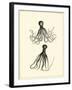 Sepia Octopus-Vision Studio-Framed Art Print