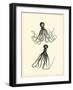 Sepia Octopus-Vision Studio-Framed Art Print