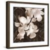 Sepia Orchid I-Christine Zalewski-Framed Art Print