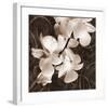 Sepia Orchid I-Christine Zalewski-Framed Art Print