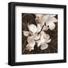 Sepia Orchid I-Christine Zalewski-Framed Art Print