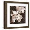 Sepia Orchid I-Christine Zalewski-Framed Art Print