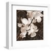 Sepia Orchid I-Christine Zalewski-Framed Art Print