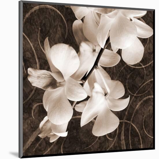 Sepia Orchid I-Christine Zalewski-Mounted Art Print