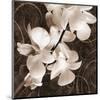 Sepia Orchid I-Christine Zalewski-Mounted Art Print