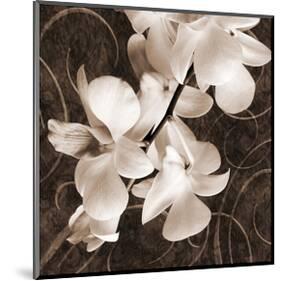 Sepia Orchid I-Christine Zalewski-Mounted Art Print