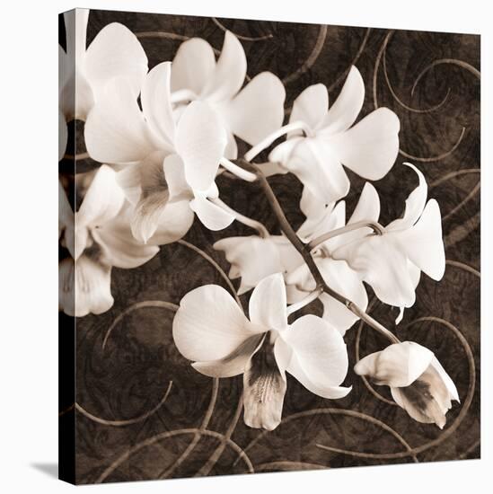 Sepia Orchid II-Christine Zalewski-Stretched Canvas