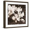 Sepia Orchid II-Christine Zalewski-Framed Art Print