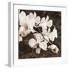 Sepia Orchid II-Christine Zalewski-Framed Art Print