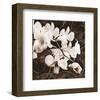 Sepia Orchid II-Christine Zalewski-Framed Art Print