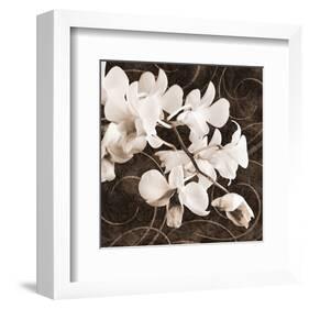 Sepia Orchid II-Christine Zalewski-Framed Art Print