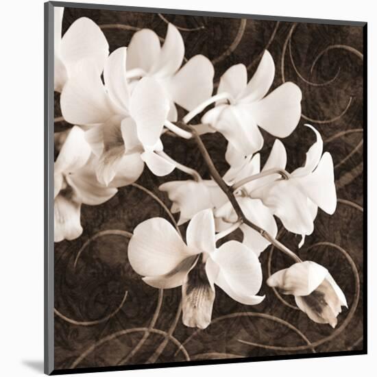 Sepia Orchid II-Christine Zalewski-Mounted Art Print