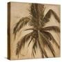 Sepia Palm III-Patricia Pinto-Stretched Canvas