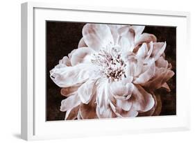 Sepia Peony I-Christine Zalewski-Framed Art Print