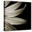 Sepia Petals on Black-Tom Quartermaine-Stretched Canvas