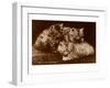 Sepia Photograph of Kittens-null-Framed Art Print