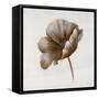 Sepia Poppy I-Drotar Drotar-Framed Stretched Canvas