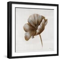 Sepia Poppy I-Drotar Drotar-Framed Giclee Print