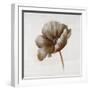 Sepia Poppy I-Drotar Drotar-Framed Giclee Print