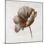 Sepia Poppy I-Drotar Drotar-Mounted Giclee Print