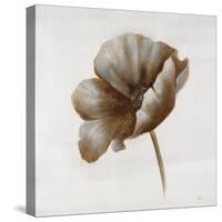 Sepia Poppy I-Drotar Drotar-Stretched Canvas