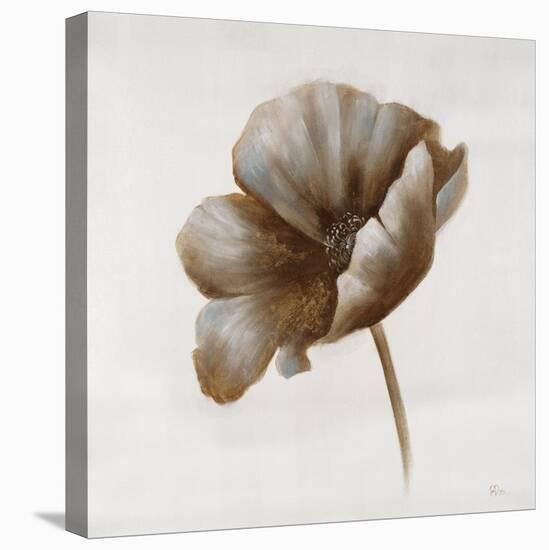 Sepia Poppy I-Drotar Drotar-Stretched Canvas