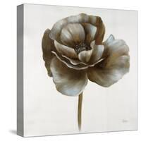 Sepia Poppy II-Drotar Drotar-Stretched Canvas