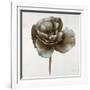 Sepia Poppy II-Drotar Drotar-Framed Giclee Print