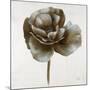 Sepia Poppy II-Drotar Drotar-Mounted Giclee Print