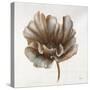 Sepia Poppy III-Drotar Drotar-Stretched Canvas