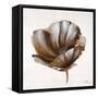 Sepia Poppy IV-Drotar Drotar-Framed Stretched Canvas