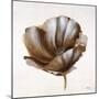 Sepia Poppy IV-Drotar Drotar-Mounted Giclee Print