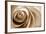 Sepia Rose 01-Tom Quartermaine-Framed Giclee Print