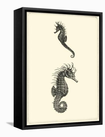 Sepia Seahorse-Vision Studio-Framed Stretched Canvas