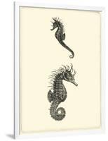 Sepia Seahorse-Vision Studio-Framed Art Print