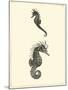 Sepia Seahorse-Vision Studio-Mounted Art Print