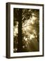 Sepia Shadows I-Erin Berzel-Framed Photographic Print
