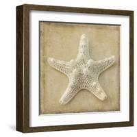 Sepia Shell I-Judy Stalus-Framed Art Print