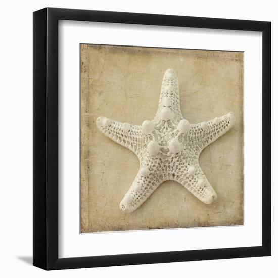 Sepia Shell I-Judy Stalus-Framed Art Print