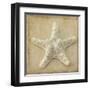 Sepia Shell I-Judy Stalus-Framed Art Print