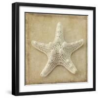 Sepia Shell I-Judy Stalus-Framed Art Print