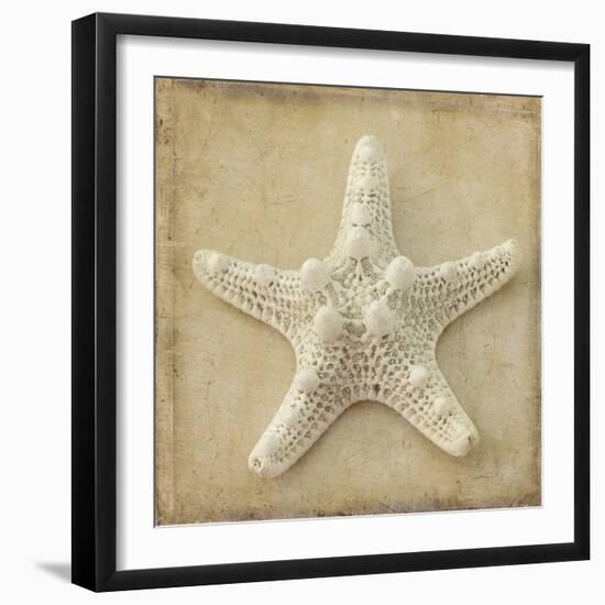 Sepia Shell I-Judy Stalus-Framed Art Print