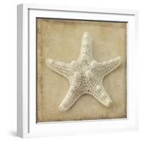 Sepia Shell I-Judy Stalus-Framed Art Print