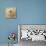 Sepia Shell II-Judy Stalus-Art Print displayed on a wall