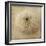 Sepia Shell II-Judy Stalus-Framed Art Print