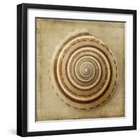 Sepia Shell V-Judy Stalus-Framed Art Print