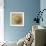 Sepia Shell V-Judy Stalus-Framed Art Print displayed on a wall